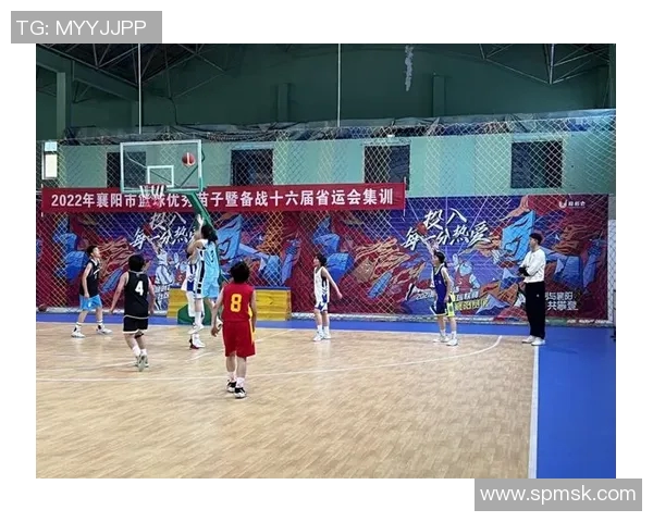 上海排球队比赛经验分析与表现评估探讨